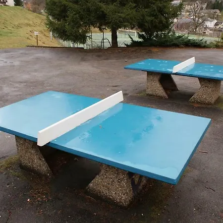 Appartement T2 3 Etoiles Piscine Chauffee Sauna Hammam