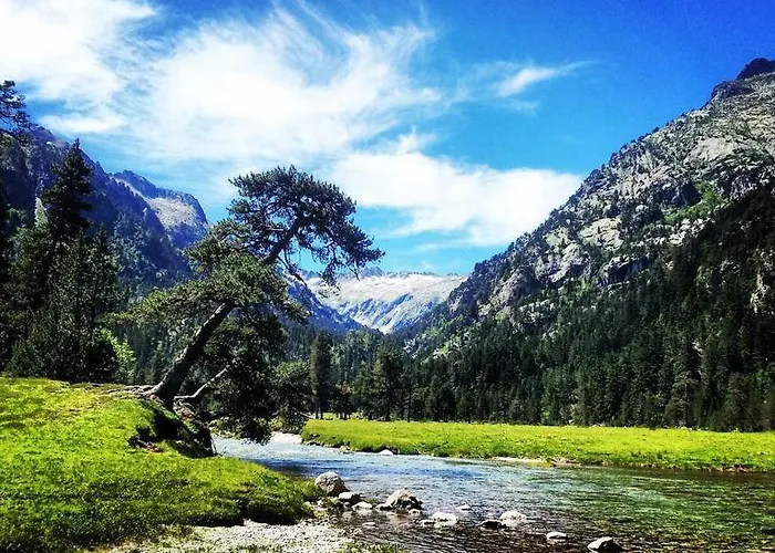 T2 3 Etoiles Piscine Chauffee Sauna Hammam Apartament *